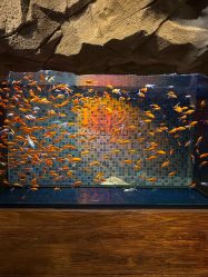 -Zoolung Zoolung动物主题公园(海信广场店)