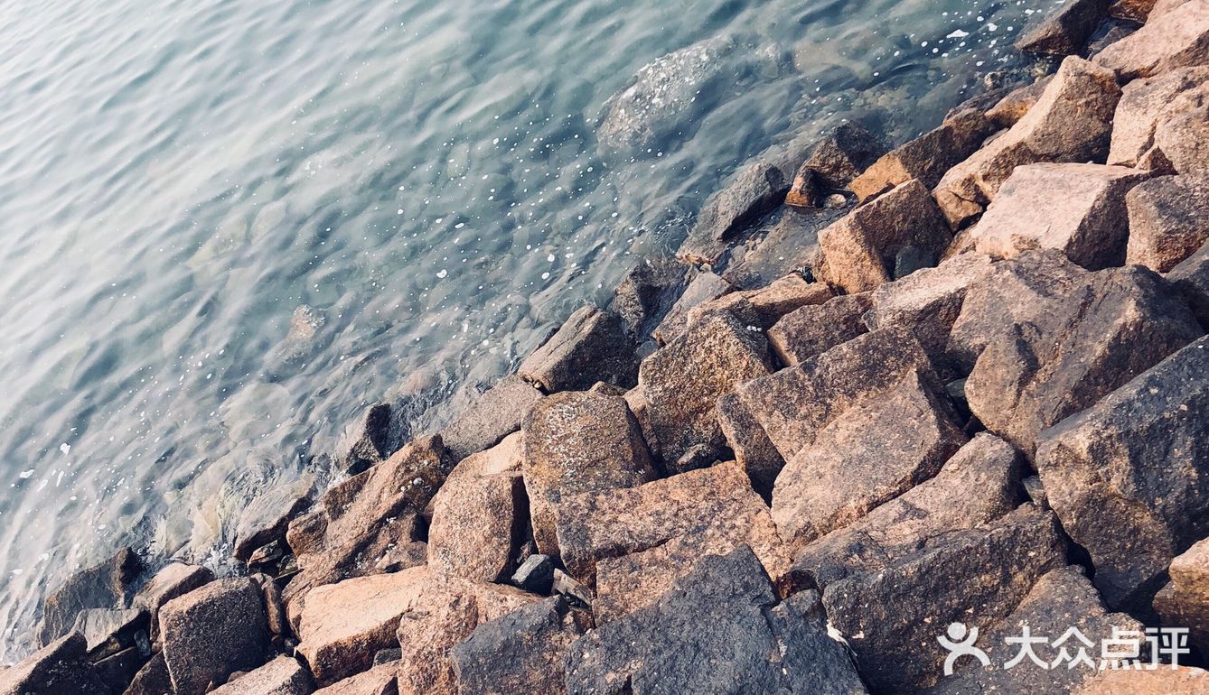 小麦岛公园⛲️