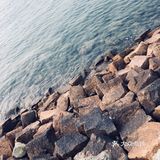 小麦岛公园⛲️