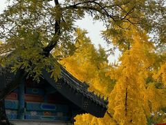 -北京国子监胡同