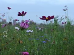 -白塘生态植物园
