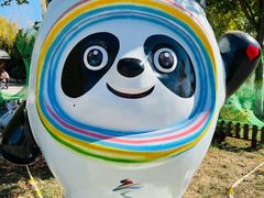 -永定河休闲森林公园