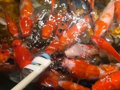 -太平洋海底世界