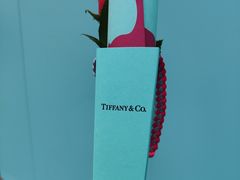 -Tiffany & Co.蒂芙尼
(南京德基广场店)