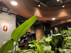 -云海肴汽锅鸡·云南小炒(曲江大悦城店)