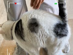 景观位-三仟津花园咖啡馆