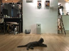 -iF摄影•全家福•证件照•形象照(南山店)