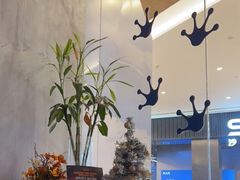 -bluefrog蓝蛙(皇庭广场店)