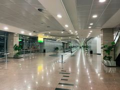 -开罗国际机场