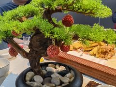 -秦月轩·陕西家乡菜(阜成路·五棵松店)