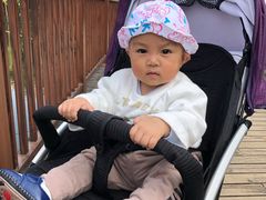 -重庆彩云湖湿地公园