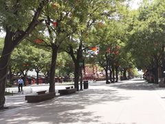 -大唐不夜城
