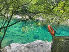 -石台牯牛降景区