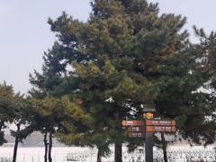 -北陵公园
