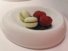 -蝶舍·MAISON PAPILLON