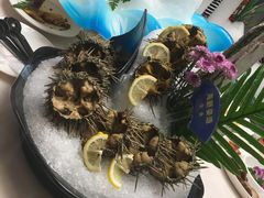 -海玥荟海鲜姿造自助餐厅(欧罗巴广场店)