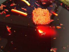 红汤-星鸿社重庆老火锅