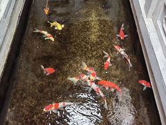 -鲤院·新中式美学·庭院餐厅(夫子庙店)