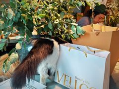 -自由生长植物工作室(深港花卉中心店)