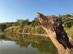 -鹤之洲湿地公园