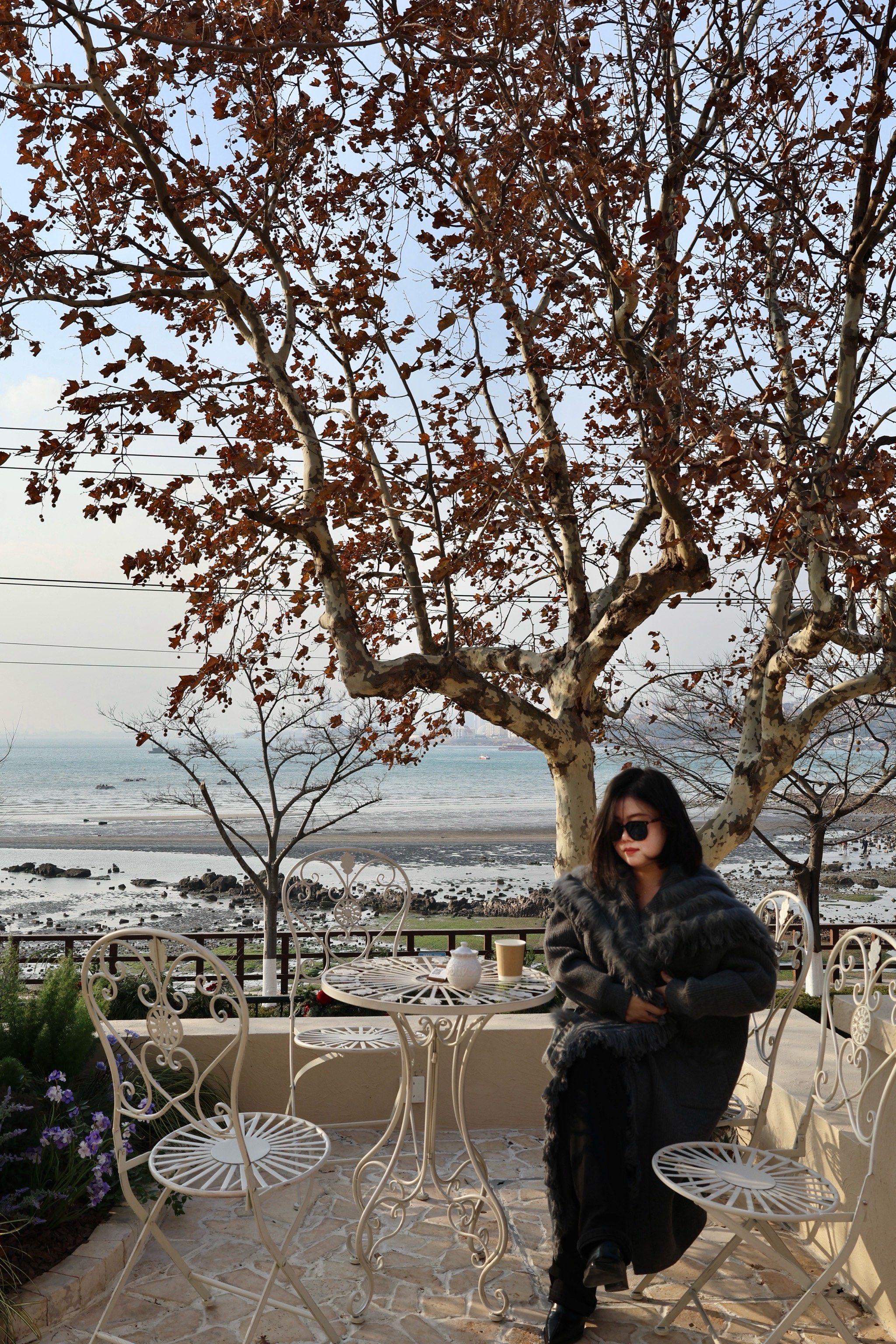 冬季的青岛太美了