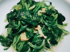 邹山腐皮鸡毛菜-竹外桃花·江南小酒馆(SKP·S店)