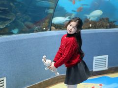 -合肥海洋世界
