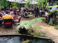 -Fern Forest Cafe
