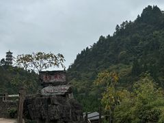 -娄山关景区