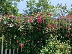 -玄武湖景区-情侣园游乐场