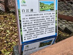 -广州白江湖森林公园