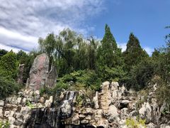 -微山湖红荷湿地景区