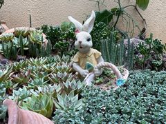 -正佳雨林生态植物园