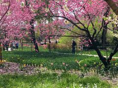 -国家植物园南园