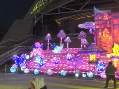 -沈阳奥体冰雪嘉年华