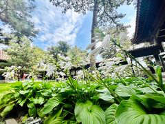 -承德避暑山庄景区