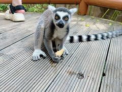 -北京野生动物园