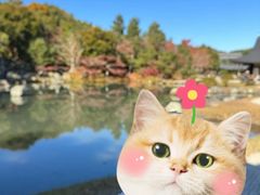 -天龙寺