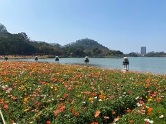 -顺峰山公园