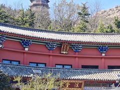 -石岛赤山风景区