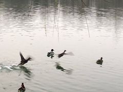 -北京大学-燕南食堂