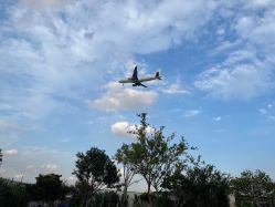 -小蜜蜂农场(凯德七宝购物广场店)