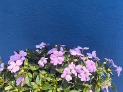 -宁波九龙湖开元度假村