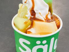 -Salud撒露欧洲冻酸奶(蓝色港湾店)