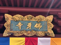 -新加坡佛牙寺龙华院