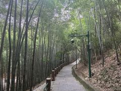 -敬亭山风景名胜区