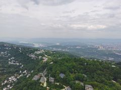 -大金鹰园