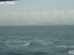 -澳门外港客运码头(轮渡站)