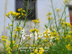 -上坦村