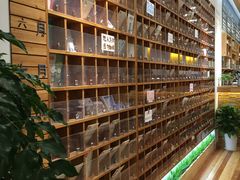 -猫的天空之城概念书店(印象城购物中心店)